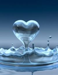 Chat Partner : provenzanox